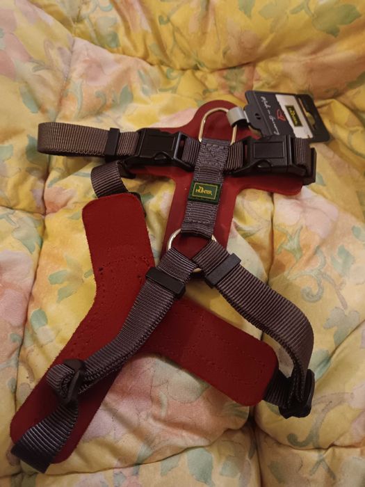 Arnes para cão porte médio