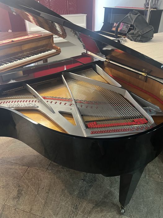 Piano cauda 165 cm grande qualidade W.Hoffmann alemao