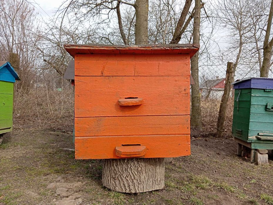 Продам вулики дадан