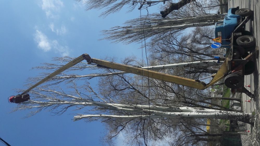 Автовышка - Спил деревьев