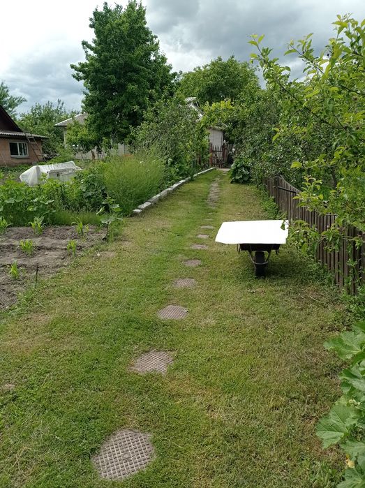 Доглянута садиба в передмісті Чернігова. Село Деснянка.