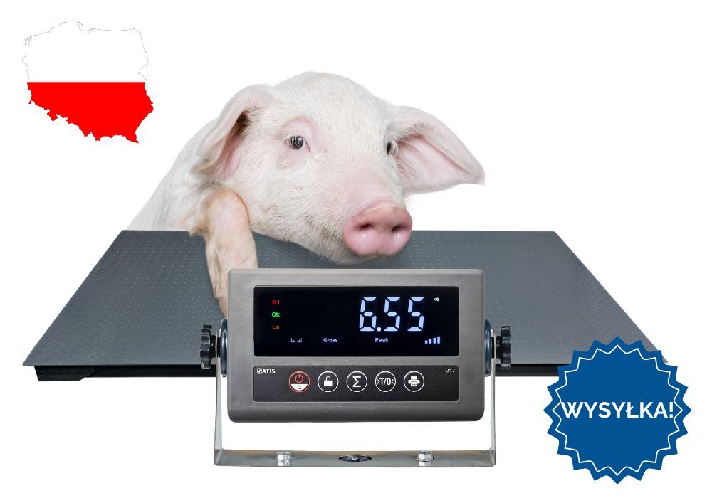 Waga inwentarzowa do gospodarstwa Do Zwierząt 1,00x2,20 5T DOSTAWA