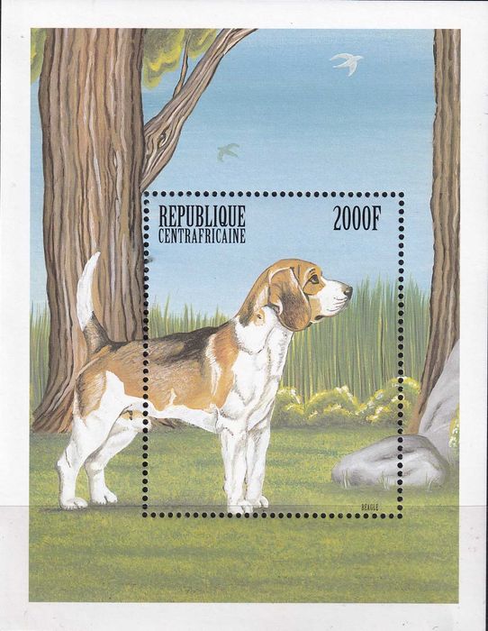 RŚA 1999 cena 7,50 zł kat.8€ - fauna, psy