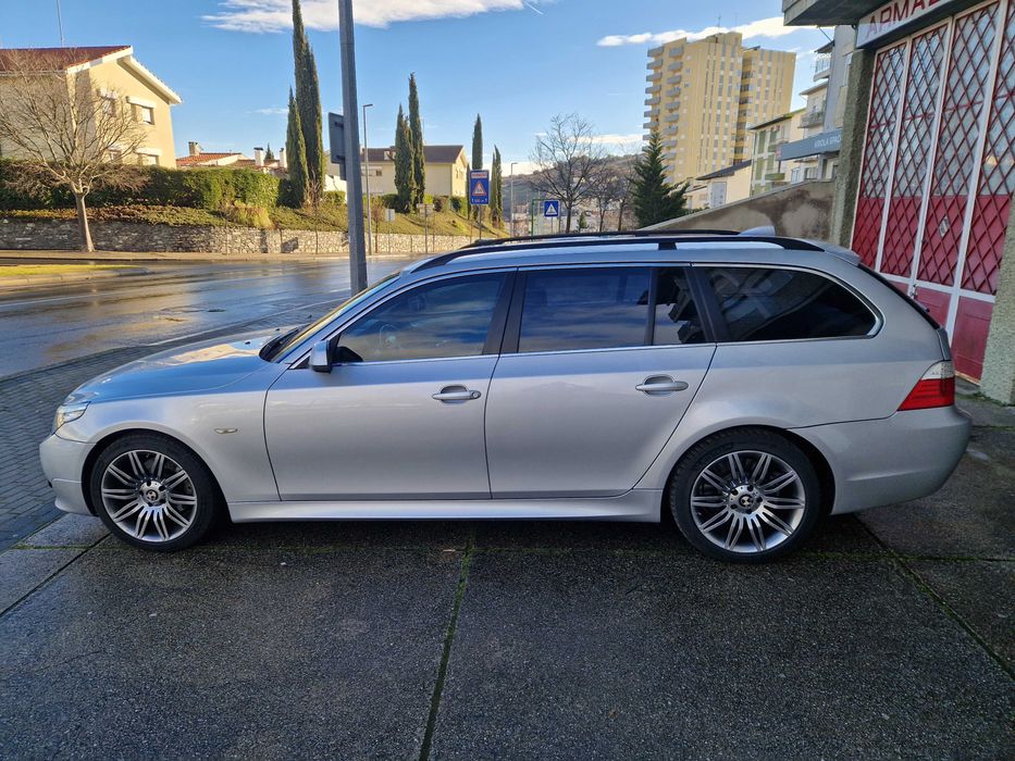 Procuro novo dono que me trate tão bem como este