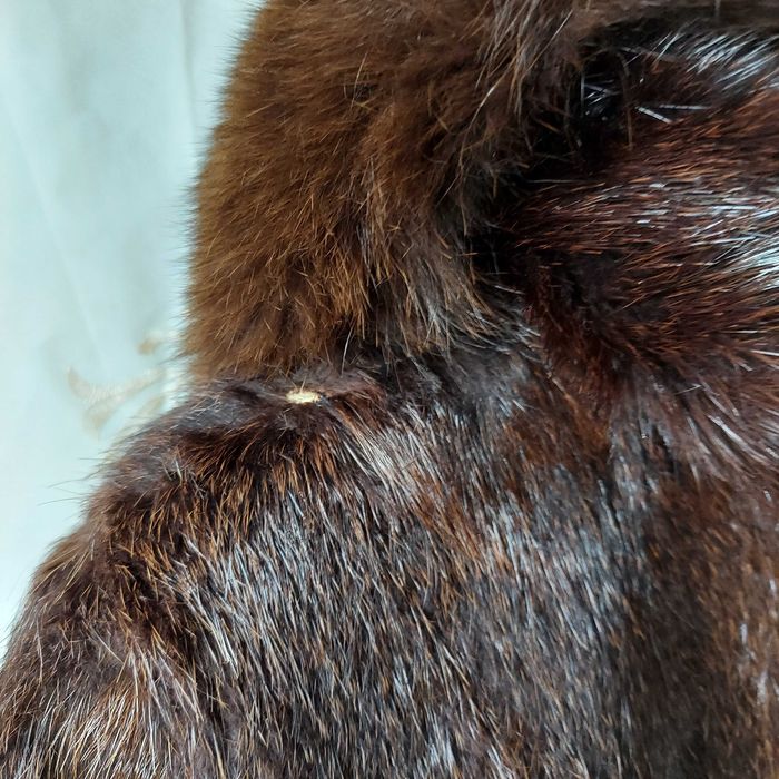 Шуба ондатра та песець - б/у або на перешив/сировину