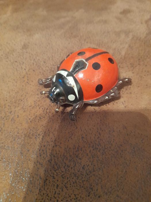 Brinquedo chapa joaninha