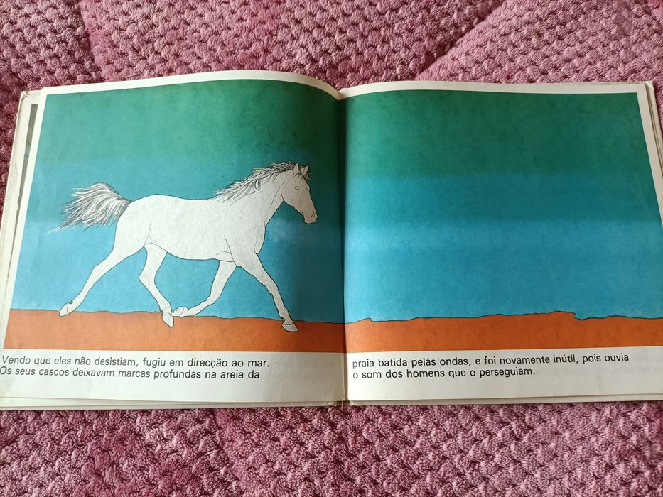 Livro O cavalo branco do ano 1982