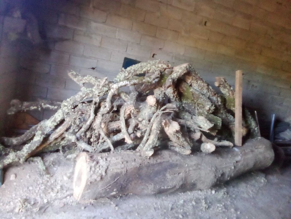 Sobreiro para madeira, moveis rústicos