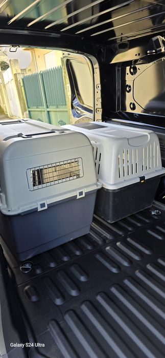 TransPatas - Serviço de transporte de animais