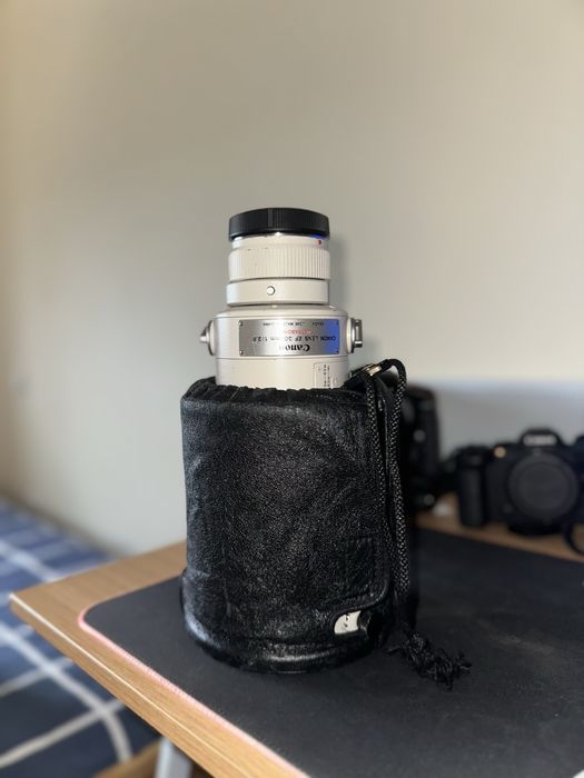 Canon EF 300mm F2.8 L