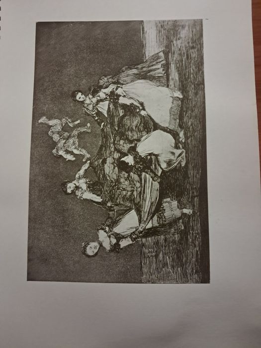 Los Proverbios (Disparates) de Goya por António de Horna