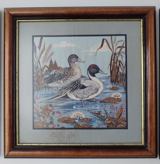 Conjunto de quadros com patos