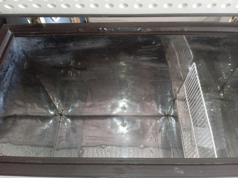 Arca friogorifica