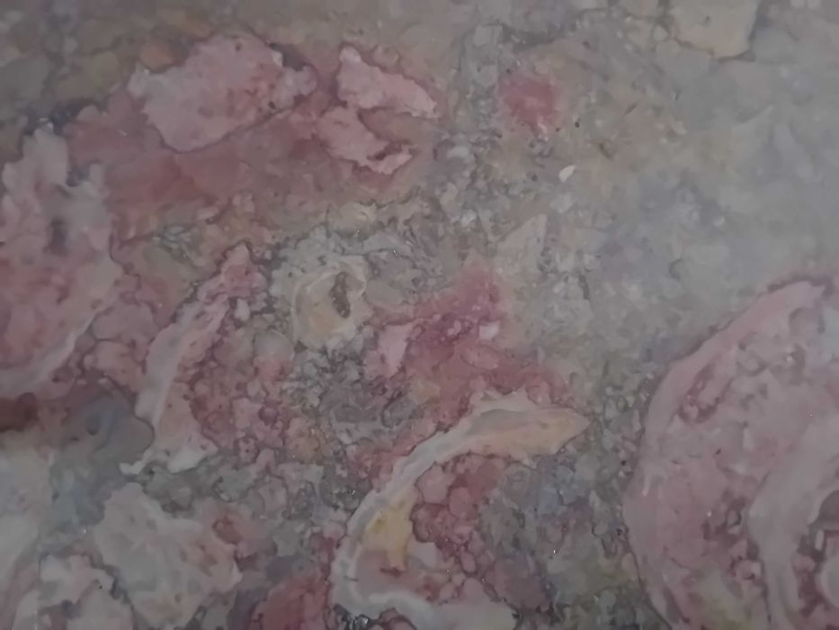 Mobília sala casa senhorial