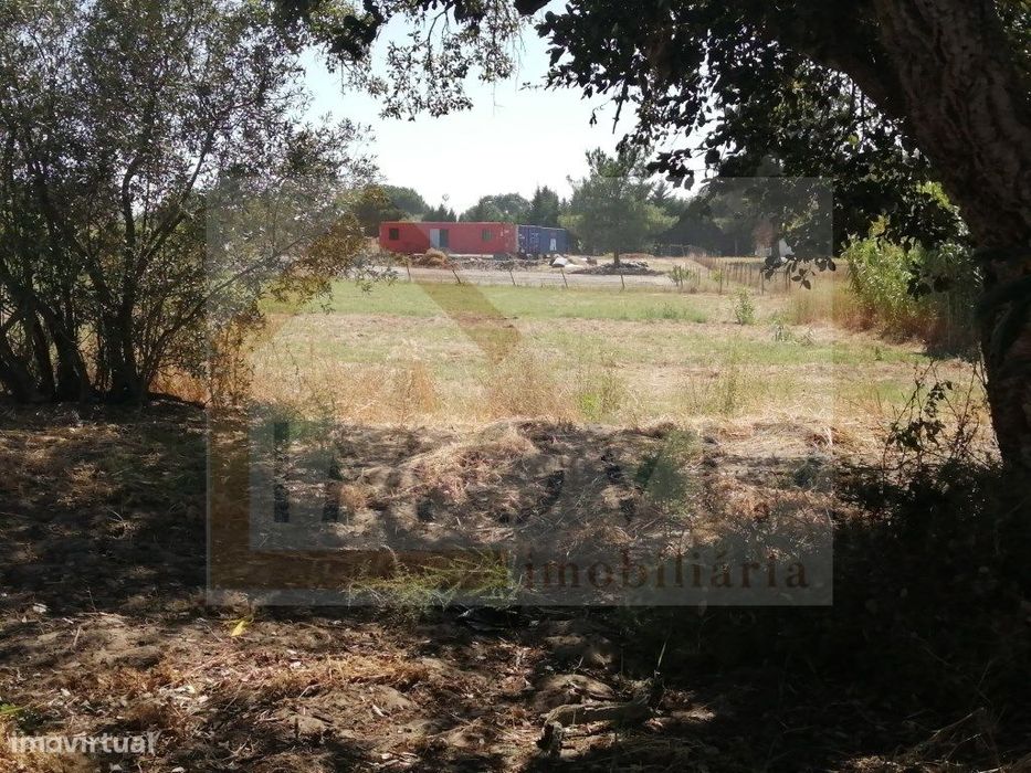 TERRENO Rústico com 5250 m2 no Terrim