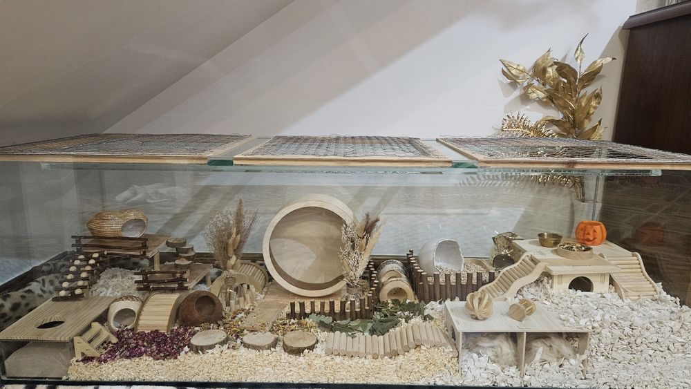 Chomikarium akwarium 150x50x50