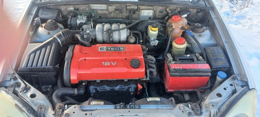 Бананас на шеснаре