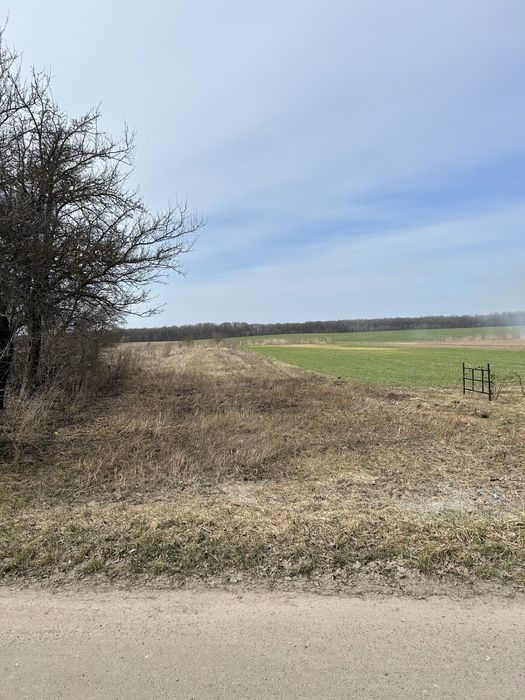 Земельна ділянка с. Порозове