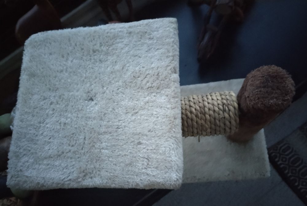 Arranhador Para Gatos