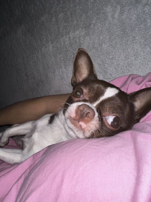 Красунчик шукаю подружку для серьозних відносин