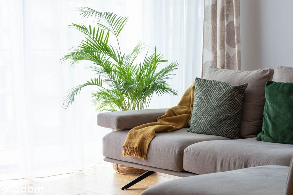 Komfortowe 3-pokojowe mieszkanie 68m², duży taras, garaż + komórka - Widok 3