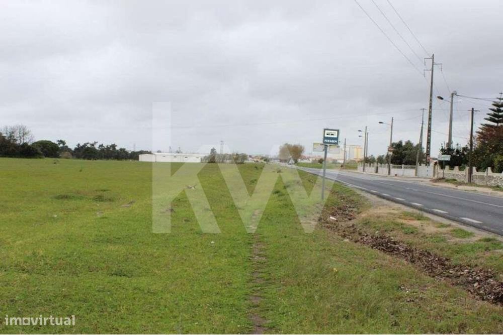 Industrial Plot | 75,000 M2 | Montijo