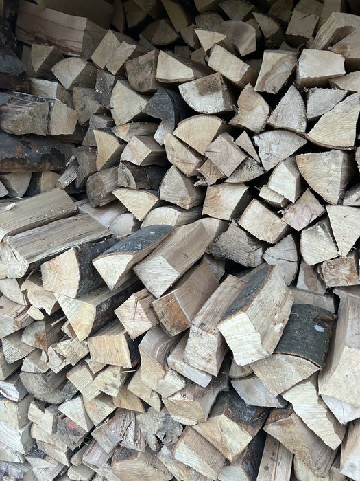 Drewno opałowe sosna , brzoza, buk i dąb