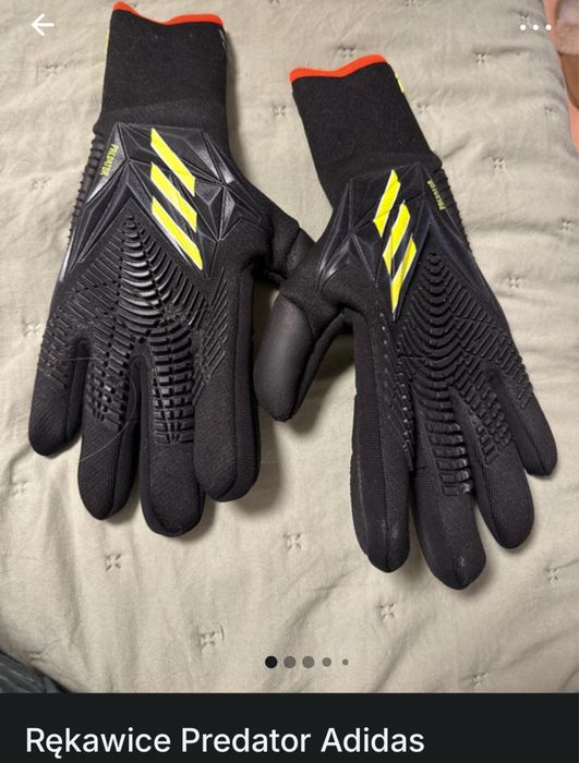 Rękawice predator Adidas