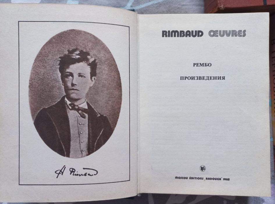 Книга Поющие в терновнике
