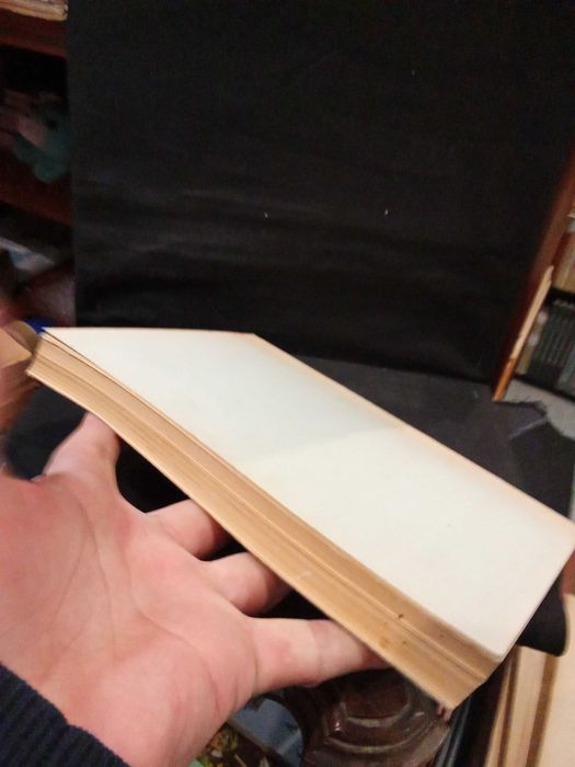 Relatório - Alfredo Coelho de Magalhães