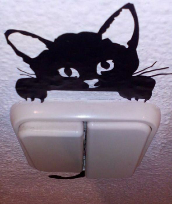 Gato pendurado no interruptor.