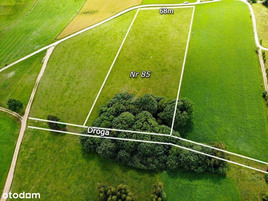 2km od jez. Hańcza | 2199 m² - View 6