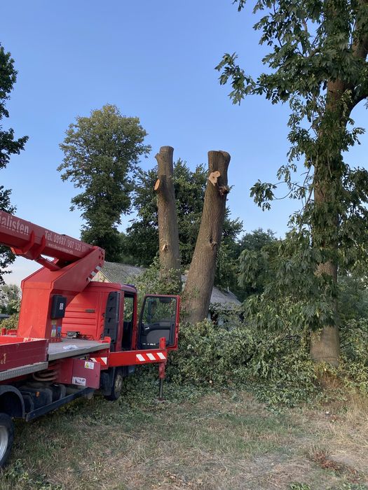 Зрізання дерев будь якої складності