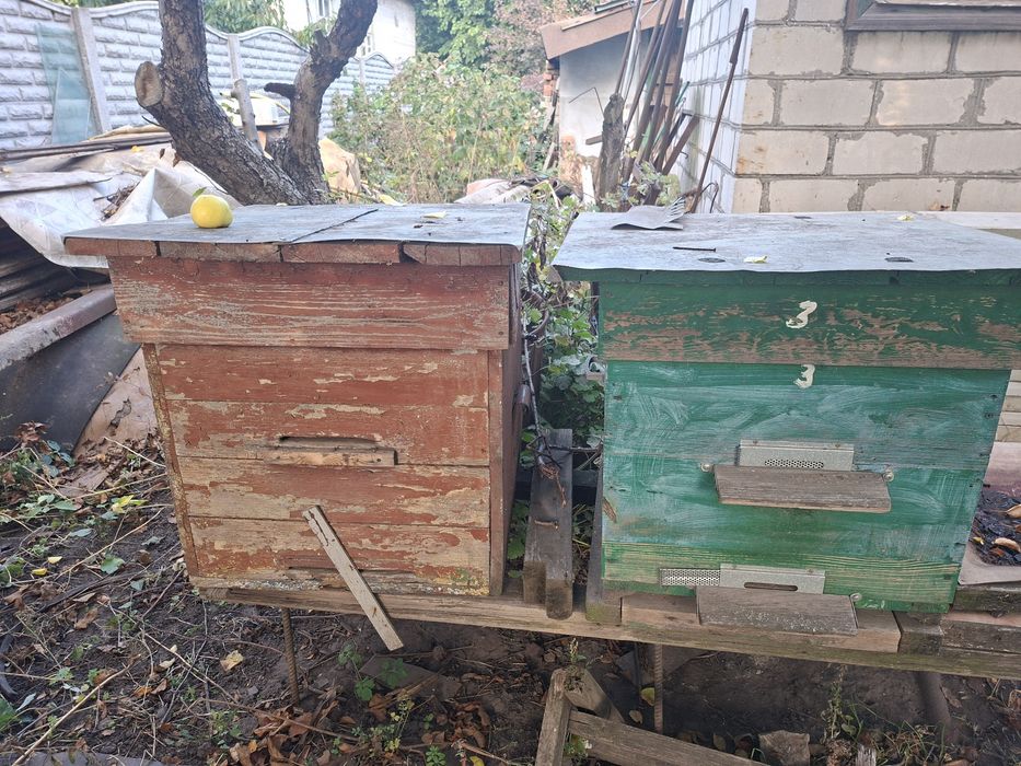 Продам вулики 9шт.з рамками.Самовивоз з ж/м Ігрень