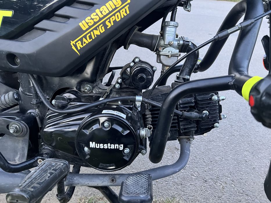 Продам Musstang fit 2