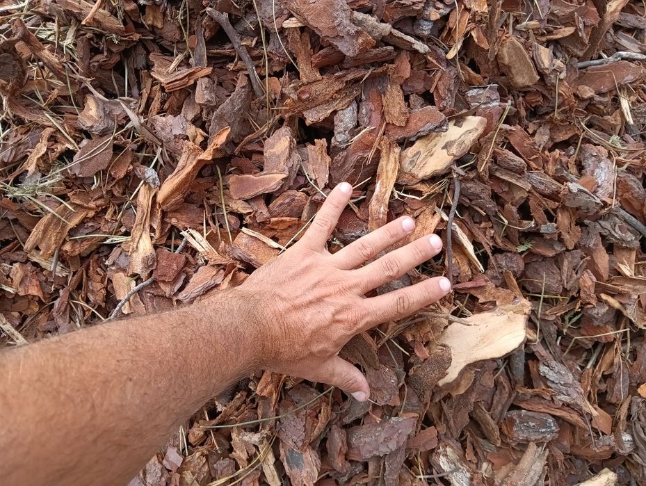 Casca de Pinheiro Não crivada, 63€ IVA inc
Para ornamentar espaços ver