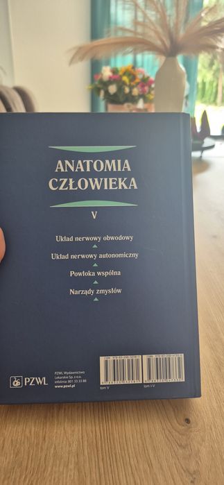 Anatomia człowieka tom V PZWL
