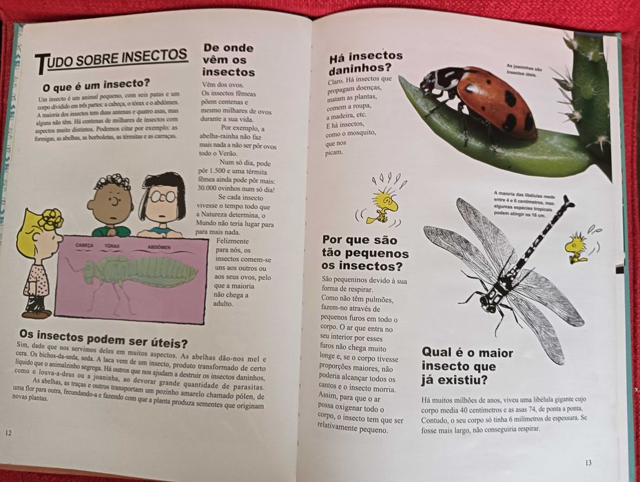 Enciclopédia do Charlie Brown 4 – Criaturas da Terra e do Mar