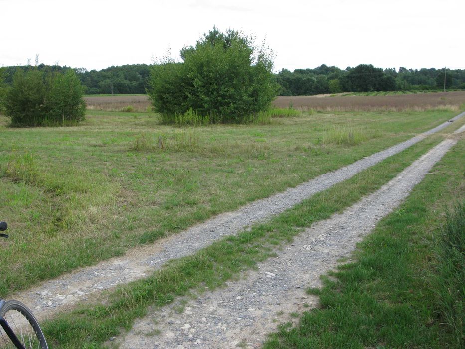 Zdjęcie 7