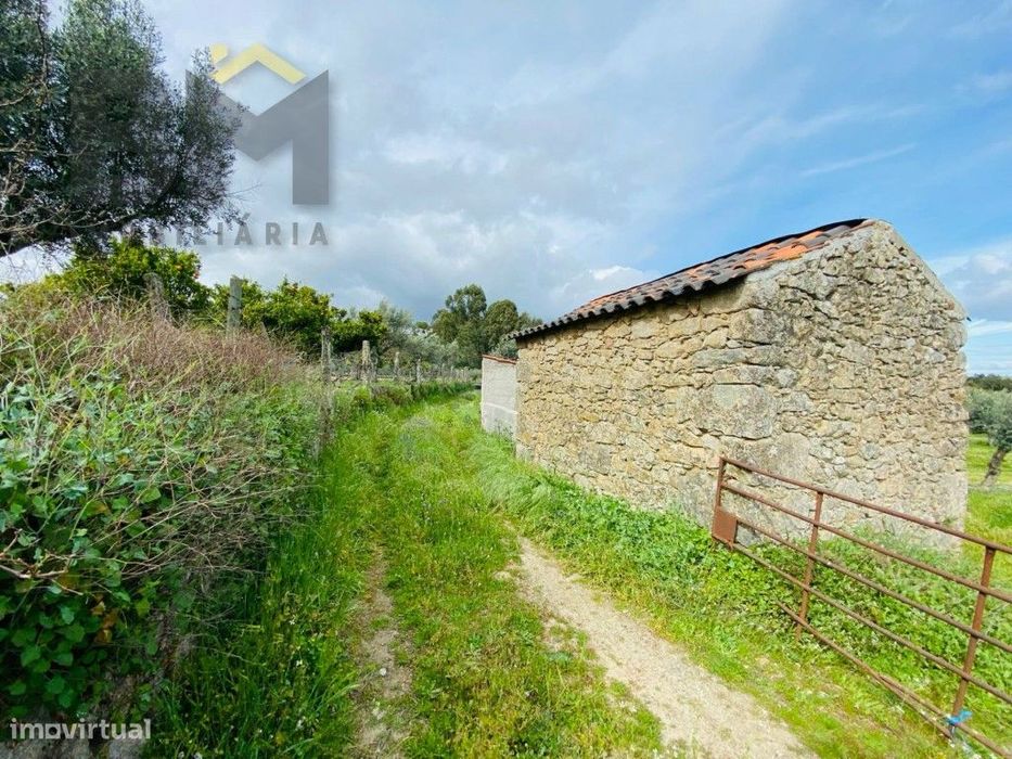 Quinta em zona rural tranquila