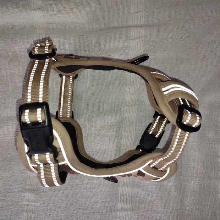 Arnês para cães pequenos, semi novo