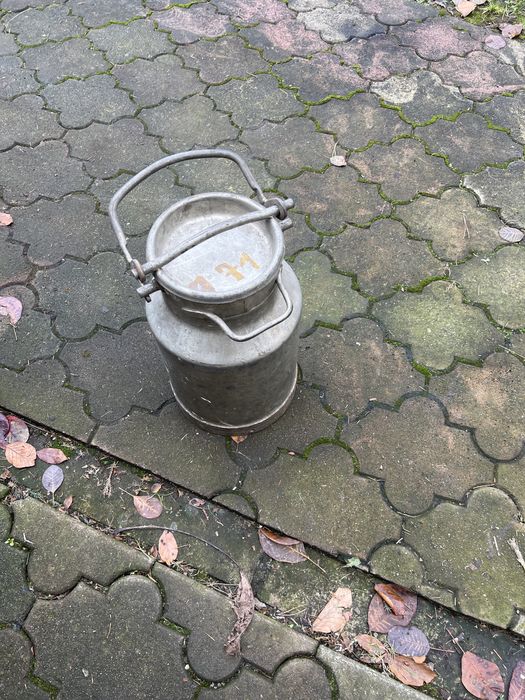 Bańka na mleko i nietylko 10l 10 l. 20 l