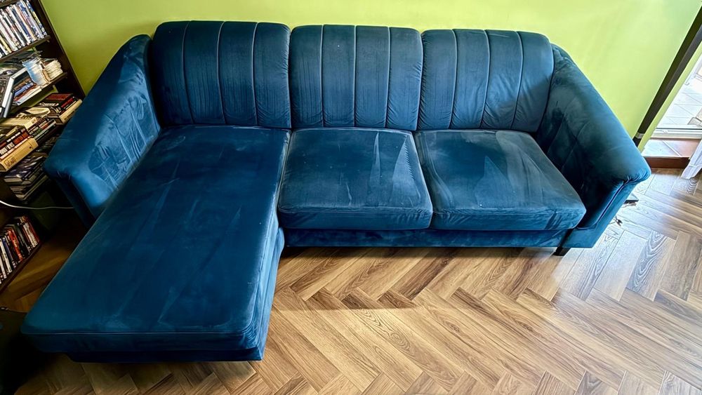 Rogówka Agata 2letnia w pięknym niebieskim kolorze