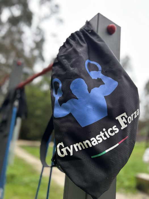 Argolas profissionais + cinto forza system (retira peso)