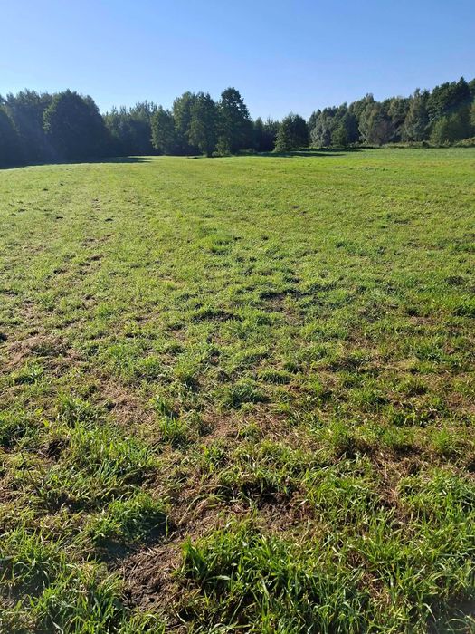 Grunty rolne 0,98ha - Widok 5