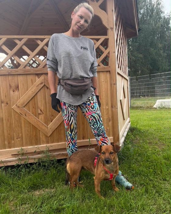 Brzoskwinką szuka domu.