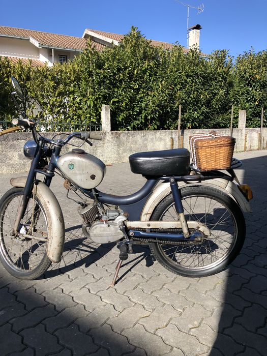 Sachs minor gt