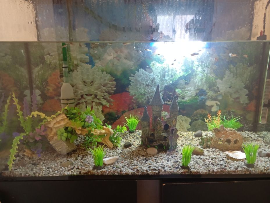 Aquário grande Ciano 145L + Motor limpeza EHEIM