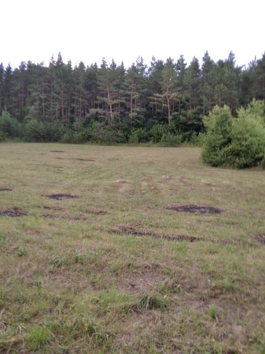 Земельна ділянка