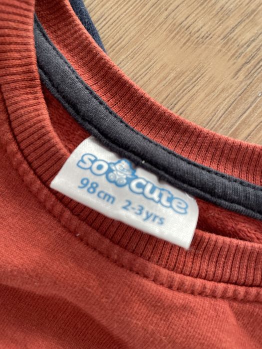 2 bluzy rozm. 98 stan bardzo dobry